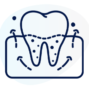 proceso regeneracion osea dental
